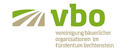 Logo VBO